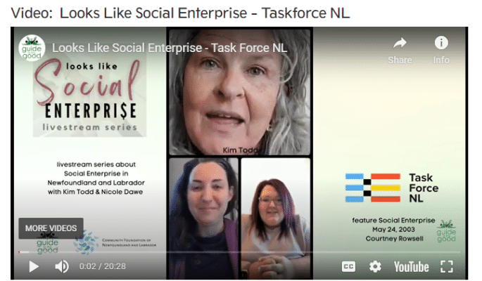 Looks Like Social Enterprise livestream Screenshot of Kim Todd, Nicole Dawe and Courtney Rowsell, TaskforceNL